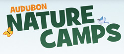 Pittsburgh Summer Camps